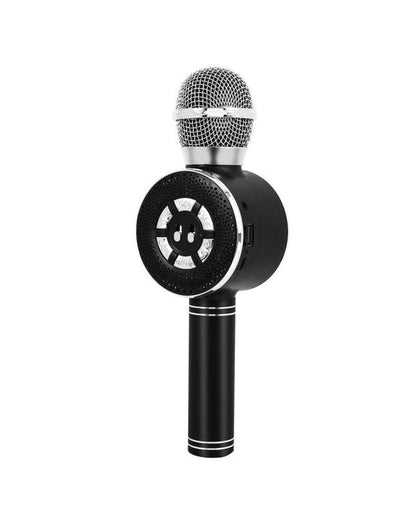 Wireless Karaoke Mic WS-669