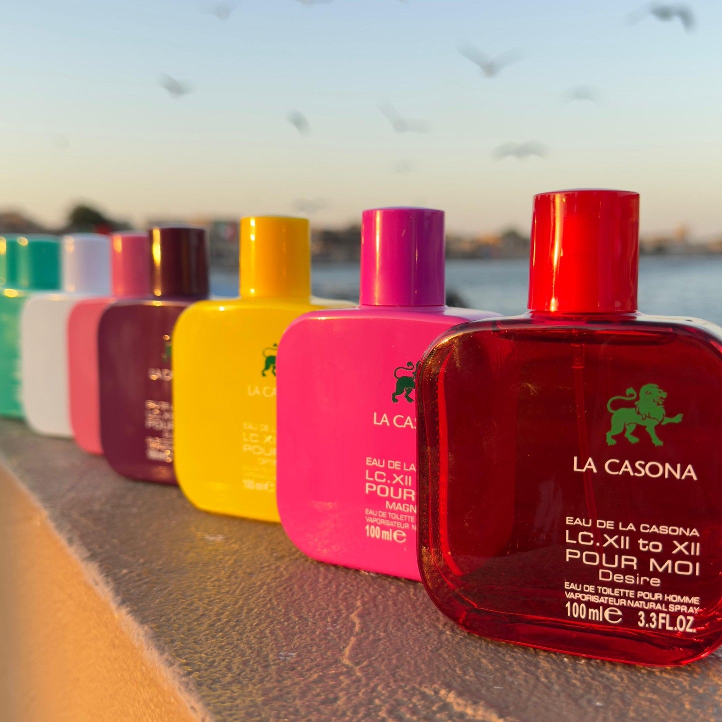 La Casona 7 in 1 Deal [ Limited Time Offer ]